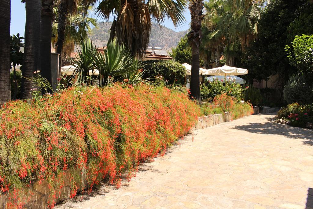 غوجيك Nirvana Hotel المظهر الخارجي الصورة